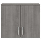 Pensile a muro 28W x 16D x 24H con ante e ripiani regolabili – Grado commerciale