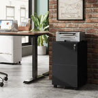 2-Drawer Mobile File Cabinet