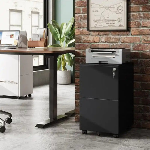 2-Drawer Mobile File Cabinet