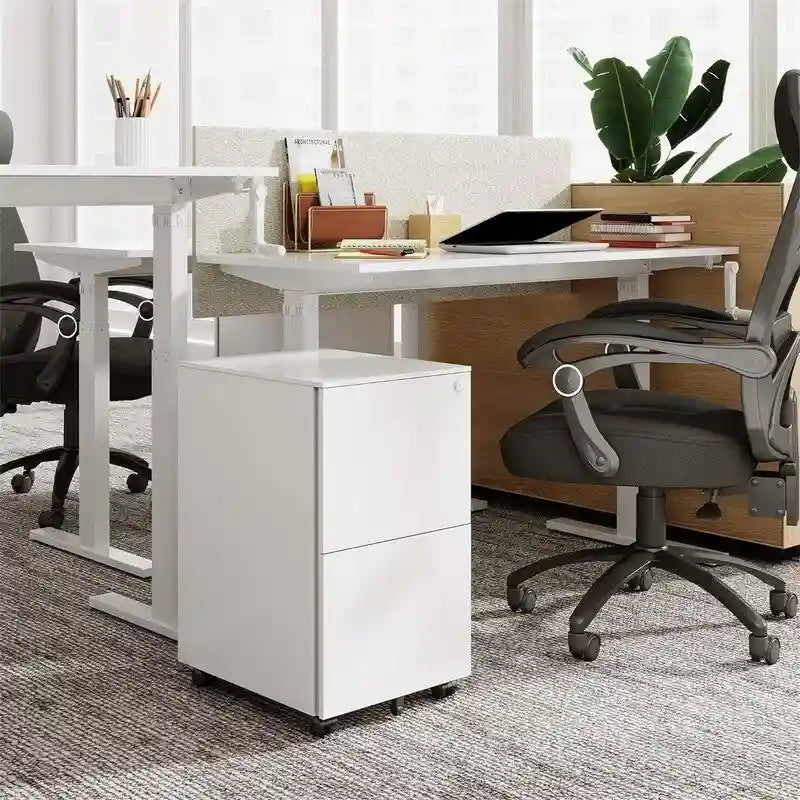 Classificatore mobile a 2 cassetti